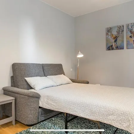 Brand New Premium Studio Apart. Apartment